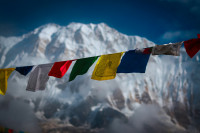 Whether you're a beginner ordaf