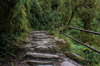 Whether you're a beginner or